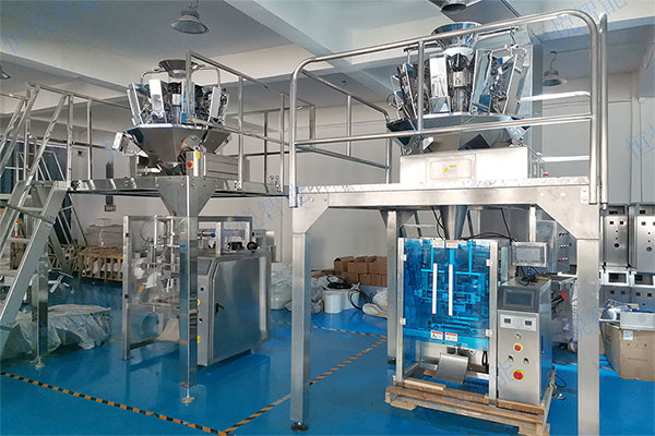 電子秤全自動定量包裝機技術參數(shù)