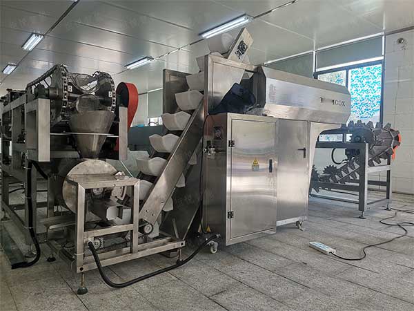 米線濕粉條包裝機(jī)，鮮濕粉專(zhuān)用